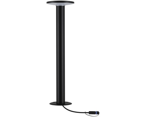 Paulmann Plug & Shine Wegeleuchte IP44 6,1W 355 lm 3000 K Plate anthrazit 230/24 V Schwarze Sockelleuchte zur Gartenbeleuchtung