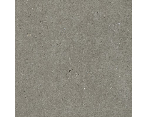 Feinsteinzeug Terrassenplatte Tessin grau rektifizierte Kante 60 x 60 x 2 cm