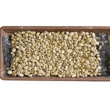 Kies Giallo Mori 25-40 mm 250 kg