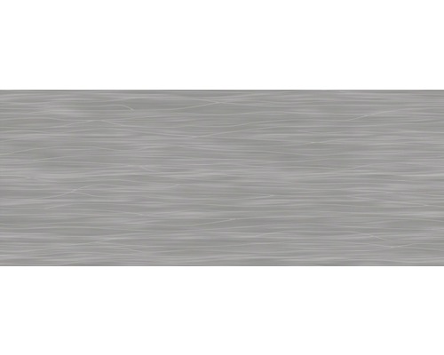 Steingut Wandfliese Mavi grau asphalt glänzend 20 x 50 cm