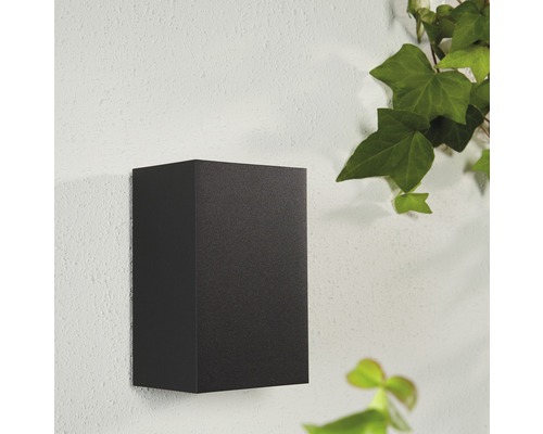 Kubische Wandleuchte an einer Fassade mit Efeu