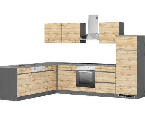 Komplette Küchenzeile mit Ober- und Unterschränken, Spüle, Geschirrspüler, Herd und Dunstabzugshaube