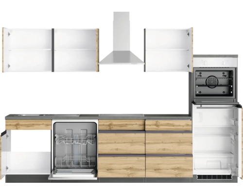Küchenzeile mit Spülmaschine, Ofen, Kühlschrank und Dunstabzugshaube