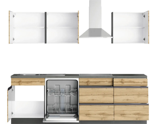 Moderne Küche mit Spülmaschine, Dunstabzugshaube und Hängeschränken