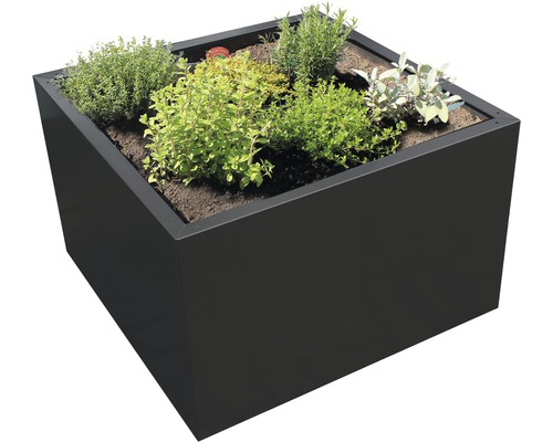 Pflanzgefäß Palatino Clara 80 x 80 x 50 cm Metall anthrazit Quadratischer Pflanzkasten mit verschiedenen Kräutern bepflanzt