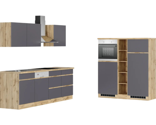 Moderne Küche mit Spüle, Kochfeld, Geschirrspüler, Backofen und Dunstabzugshaube