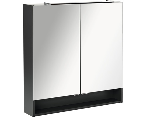 Spiegelschrank mit zwei Türen und offenem Fach
