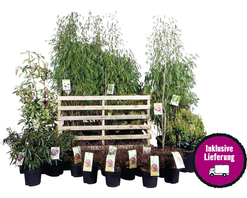 Pflanzenset Asia Garten FloraSelf ca. 30 m² Beet 21 Pflanzen inkl. 5 Kg Hofdünger organischer Dünger