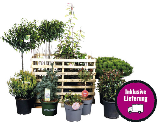 Pflanzenset Terrasse FloraSelf ca. 30 m² Beet 11 Pflanzen HORNBACH