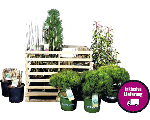 Verschiedene Gartenpflanzen in Töpfen und einer Holzkiste mit dem Siegel inklusive Lieferung.