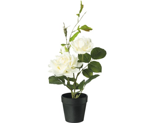 Kunstpflanze Rosenbusch im Topf H 40 cm creme