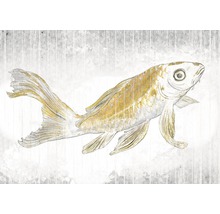 Illustration eines Karpfens