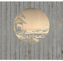 Fototapete Vlies RSX6-036 Land of Gold 6-tlg. 300 x 280 cm