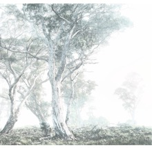 Fototapete Vlies R3-023 Magic Trees 3-tlg.   300 x 280 cm