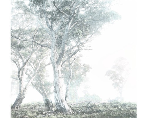 Fototapete Vlies R3-023 Magic Trees 3-tlg.   300 x 280 cm