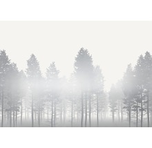 Fototapete Vlies RSX8-055 Silver Haze 8-tlg. 400 x 280 cm