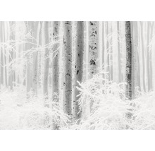 Winterlandschaft mit Bäumen und Schnee