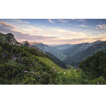 Panorama einer Berglandschaft mit Blumenwiese im Vordergrund