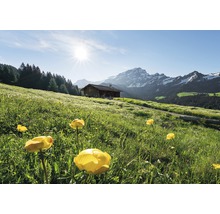 Landschaft mit Almhütte, Bergwiese und Alpenpanorama