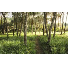 Fototapete Vlies SHX9-011 Blütenzauberwald 9-tlg. 450 x 280 cm