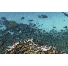 Luftaufnahme von Küste mit Felsen und Meer