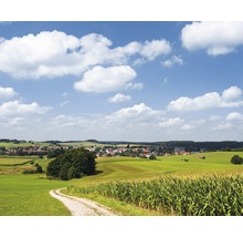 Landschaft mit Feld, Weg und Ortschaft