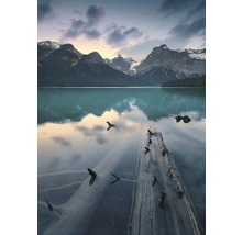 Fototapete Vlies SHX4-012 Burning Emerald 4-tlg. 200 x 280 cm