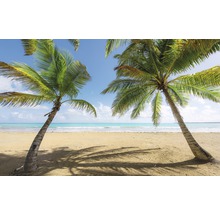 Strandlandschaft mit Palmen und Meer