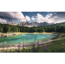 Bergsee umgeben von Wald und Bergen