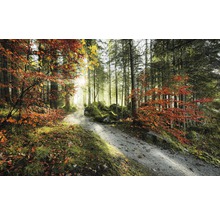 Fototapete Vlies SHX9-031 Feuerzungen 9-tlg. 450 x 280 cm