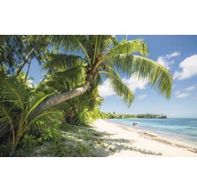 Tropischer Strand mit Palmen und klarem Wasser