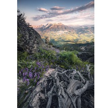 Berglandschaft mit Felsen, lila Blumen und Baumwurzeln