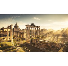 Fototapete Vlies SHX10-047 Forum Romanum 10-tlg.  500 x 280 cm