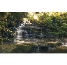 Wasserfall in einem Wald mit üppiger Vegetation
