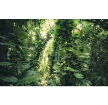 Fototapete Vlies SHX9-114 Green Leaves  9-tlg. 450 x 280 cm