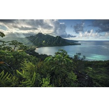 Fototapete Vlies SHX9-117 Jurassic Island 9-tlg. 450 x 280 cm