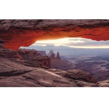 Panorama des Canyonlands Nationalparks mit Felsformationen und weiter Landschaft