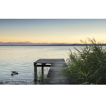 Fototapete Vlies SHX9-067 Pastell 9-tlg. 450 x 280 cm