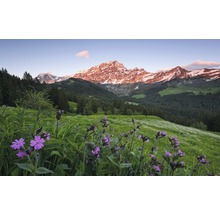 Landschaft mit Bergen, Wald und Wiese