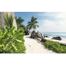 Strandszene mit Felsen, Palmen und üppiger Vegetation