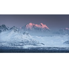 Winterlandschaft mit schneebedeckten Bergen und Wald