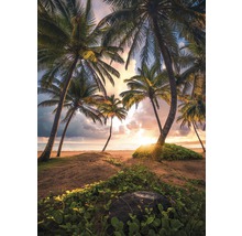 Strandlandschaft mit Palmen bei Sonnenaufgang
