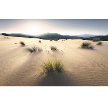 Fototapete Vlies SHX9-091 Vivid Dunes 9-tlg. 450 x 280 cm