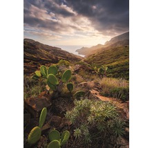 Fototapete Vlies SHX4-092 Warmes Licht 4-tlg. 200 x 280 cm