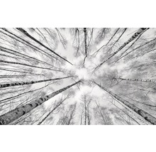 Fototapete Vlies SHX9-093 Weiss-Blau 9-tlg. 450 x 280 cm