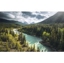 Fototapete Vlies SHX9-095 Wild Canada 9-tlg. 450 x 280 cm