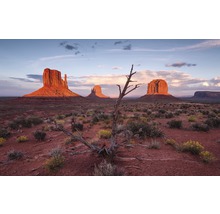 Monument Valley Landschaft mit Felsen und karger Vegetation