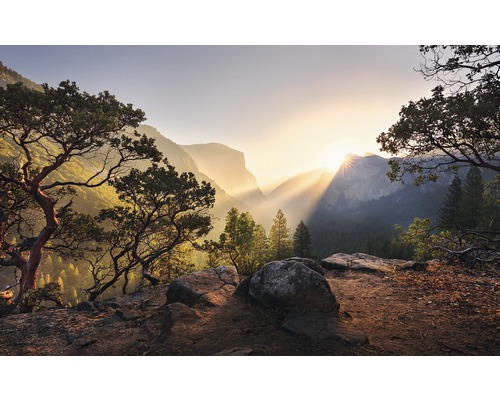 Fototapete Vlies SHX9-101 Yosemites Secret 9-tlg. 450 x 280 cm