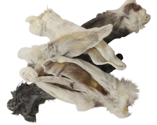 Mehrere Kaninchenohren als Hundesnack