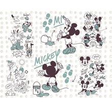 Fototapete Vlies DX7-026 Disney Edition 4 Mickey and Friends 7-tlg. 350 x 280 cm